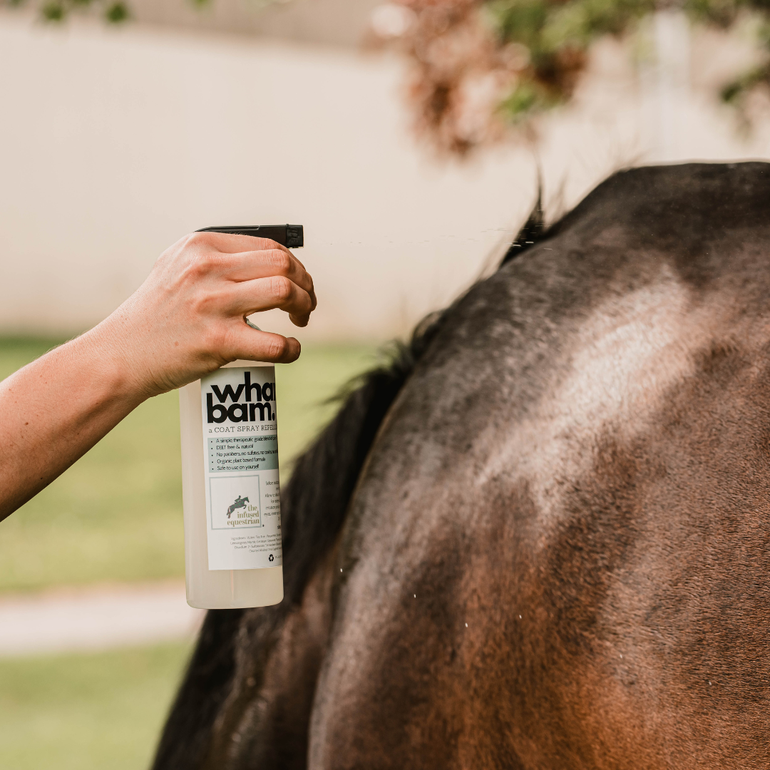 The Infused Equestrian Wham Bam Fly Spray