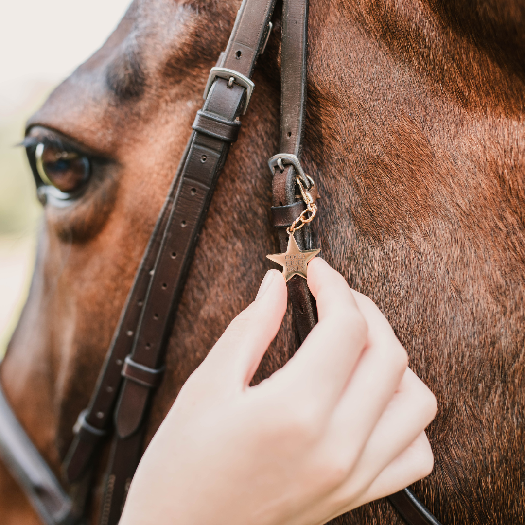 "Good Rides Only" Bridle Charm