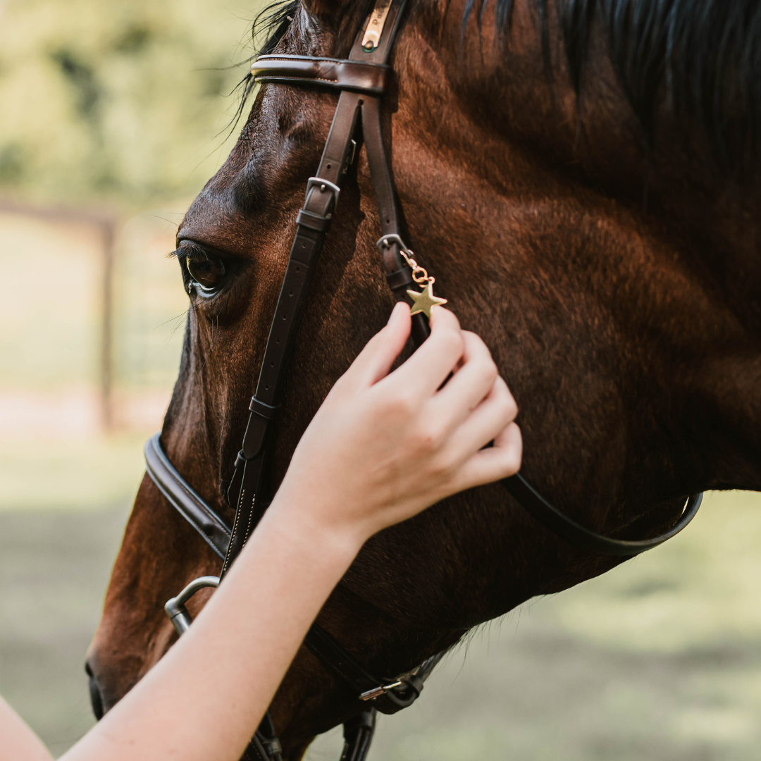 "Good Rides Only" Bridle Charm