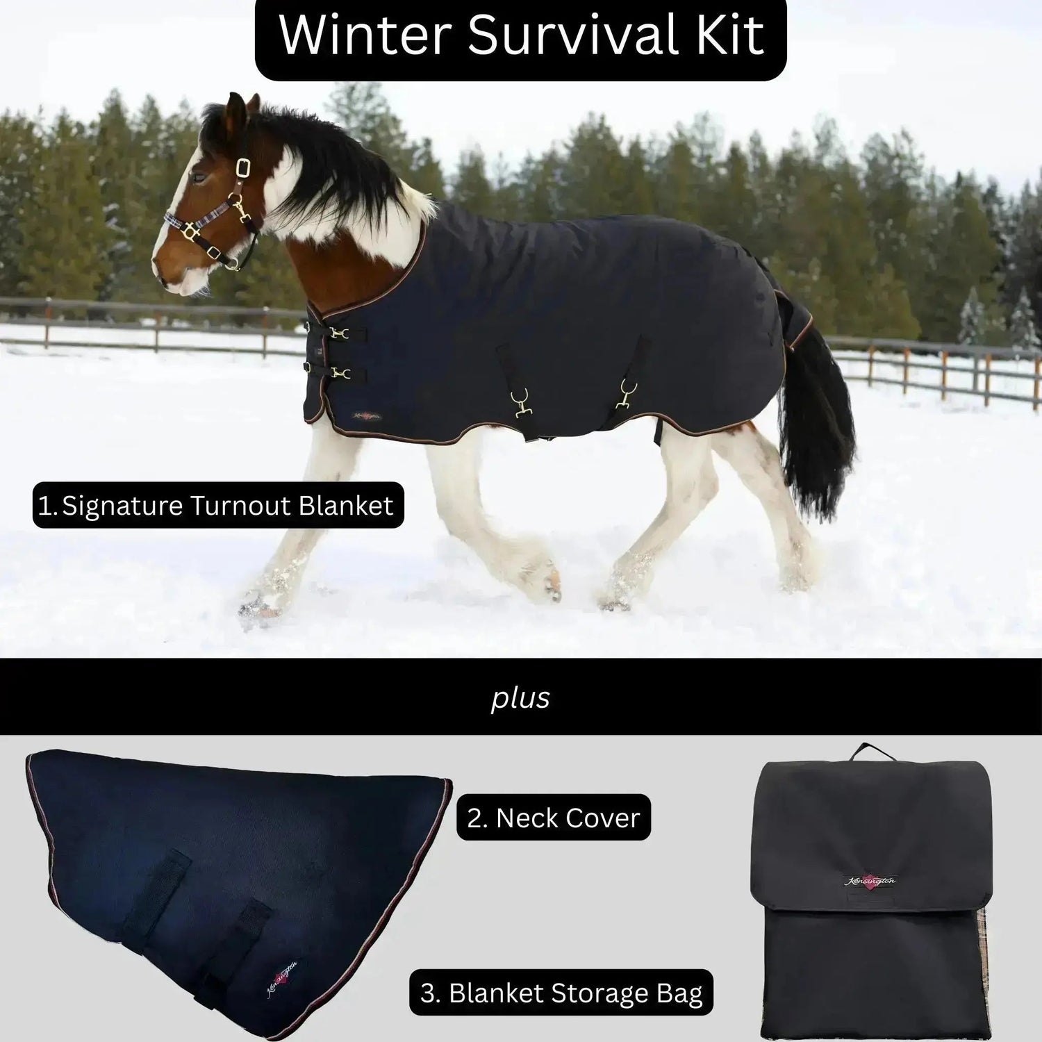 Survival Bundle: Light-Weight 80g Winter Horse Turnout Blanket, Neck Warmer & Blanket Storage Bag