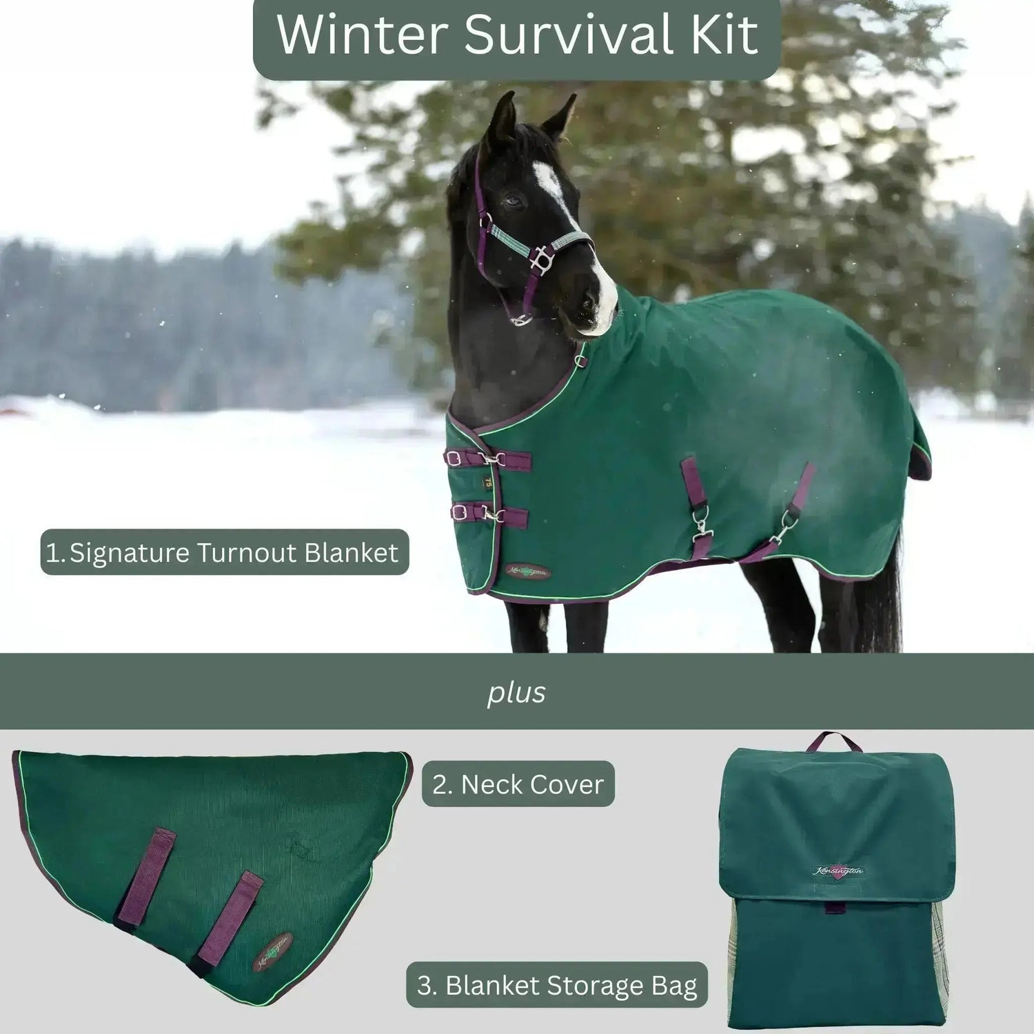 Survival Bundle: Mid-Weight 180g Winter Horse Turnout Blanket, Neck Warmer & Blanket Storage Bag